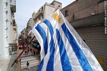 Uruguay flag - Department of Montevideo - URUGUAY. Photo #17383