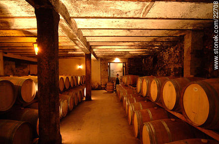 Carrau winery - Department of Canelones - URUGUAY. Photo #22708