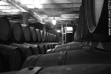 Carrau winery -  - MORE IMAGES. Photo #22710