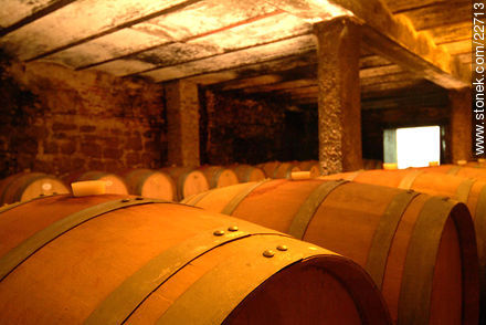 Carrau winery - Department of Montevideo - URUGUAY. Photo #22713