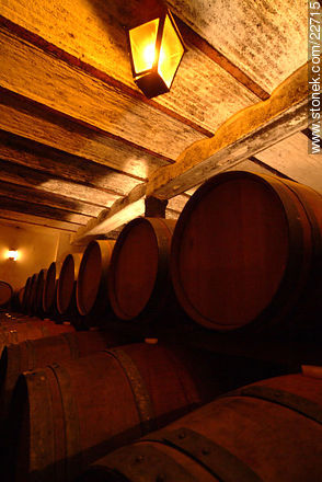 Carrau winery - Department of Canelones - URUGUAY. Photo #22715