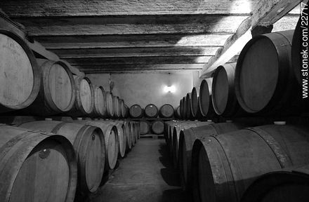 Carrau winery - Department of Montevideo - URUGUAY. Photo #22717