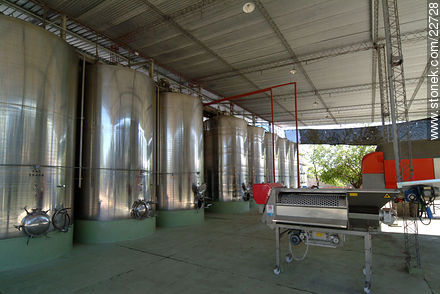 Carrau winery - Department of Canelones - URUGUAY. Photo #22728
