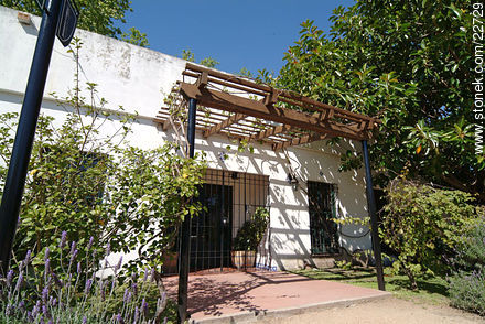Bodega Carrau - Departamento de Montevideo - URUGUAY. Foto No. 22729