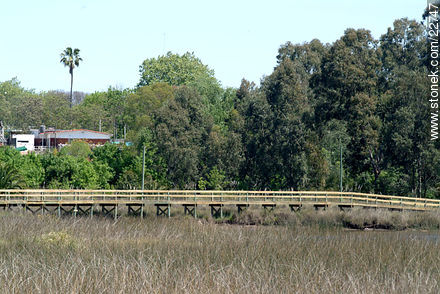 Bañados del río Santa Lucía - Departamento de Montevideo - URUGUAY. Foto No. 22747