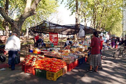 Feria del barrio Peñarol en la Av. Aparicio Saravia - Departamento de Montevideo - URUGUAY. Foto No. 22782