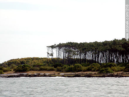 Isla de Gorriti - Punta del Este y balnearios cercanos - URUGUAY. Foto No. 216