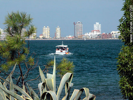  - Punta del Este y balnearios cercanos - URUGUAY. Foto No. 220