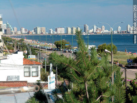  - Punta del Este and its near resorts - URUGUAY. Photo #255