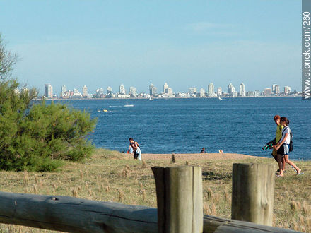 Playa Mansa - Punta del Este and its near resorts - URUGUAY. Foto No. 260