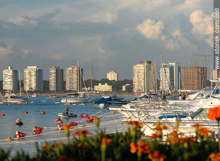 Vista del puerto y playa Mansa. - Punta del Este y balnearios cercanos - URUGUAY. Foto No. 660