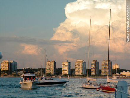  - Punta del Este and its near resorts - URUGUAY. Photo #523