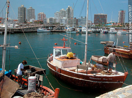 Fishing boats. - Punta del Este and its near resorts - URUGUAY. Photo #637