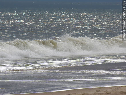  - Departamento de Maldonado - URUGUAY. Foto No. 21639