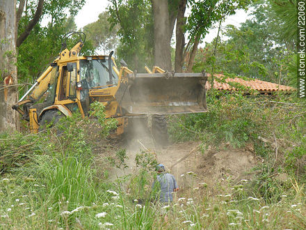 Limpieza de monte - Departamento de Maldonado - URUGUAY. Foto No. 22060