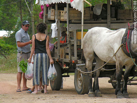 Venta ambulante de frutas y verduras - Departamento de Maldonado - URUGUAY. Foto No. 22188