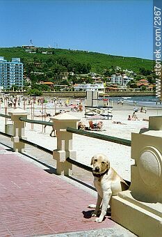  - Departamento de Maldonado - URUGUAY. Foto No. 2367