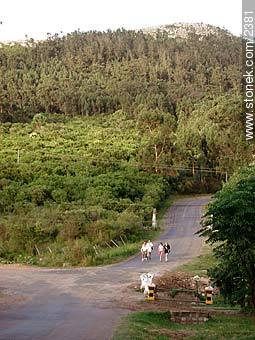 Path to Cerro del Toro. (Bull hill, literally) - Department of Maldonado - URUGUAY. Photo #2381