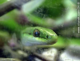  - Departamento de Maldonado - URUGUAY. Foto No. 2418