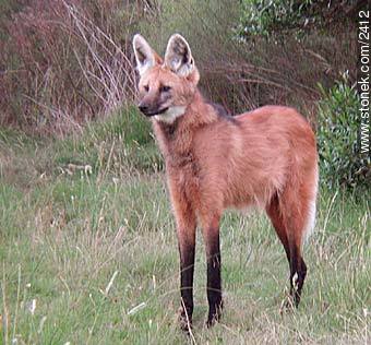  - Departamento de Maldonado - URUGUAY. Foto No. 2412