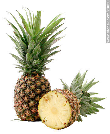 Pineapple -  - MORE IMAGES. Photo #23058