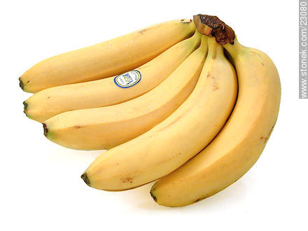 Bananas -  - MORE IMAGES. Photo #23080