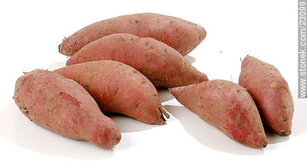 Sweet potato -  - MORE IMAGES. Photo #23099