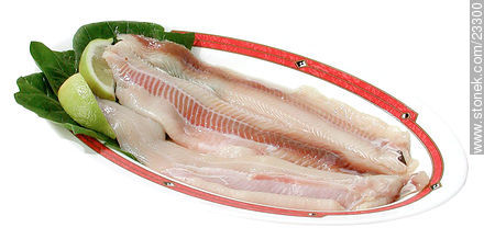 Fillet of fish -  - MORE IMAGES. Photo #23300
