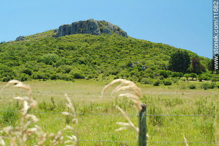 Parque Municipal de Salamanca - Departamento de Maldonado - URUGUAY. Foto No. 11682