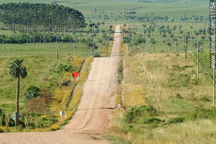 Camino de los indios - Departamento de Rocha - URUGUAY. Foto No. 11754