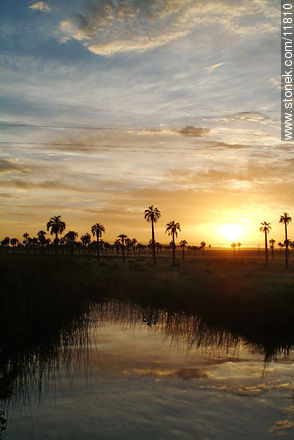  - Departamento de Rocha - URUGUAY. Foto No. 11810