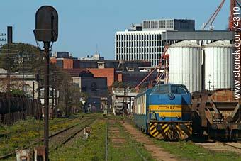 Trenes en Bella Vista - Departamento de Montevideo - URUGUAY. Foto No. 4310
