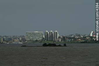 Vista de los edificios de la rambla del Buceo - Departamento de Montevideo - URUGUAY. Foto No. 4384