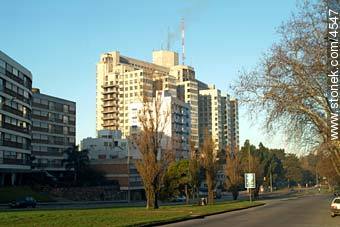  - Departamento de Montevideo - URUGUAY. Foto No. 4547