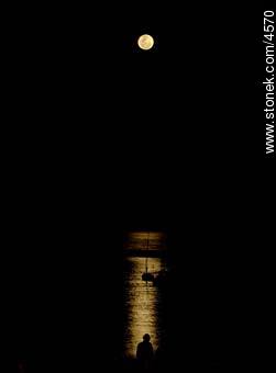  - Departamento de Montevideo - URUGUAY. Foto No. 4570