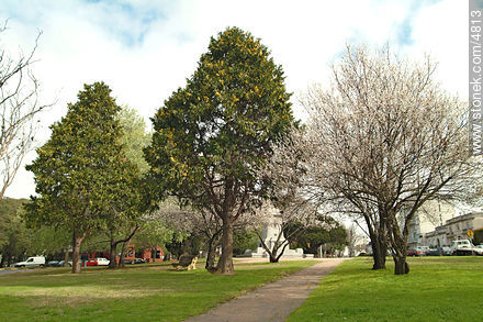  - Departamento de Montevideo - URUGUAY. Foto No. 4813