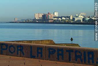  - Department of Montevideo - URUGUAY. Photo #4829