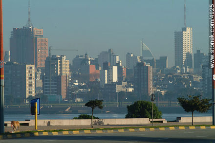  - Department of Montevideo - URUGUAY. Photo #4925