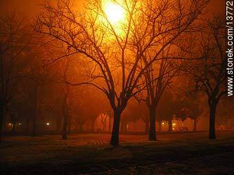 Parque en noche de niebla - Departamento de Montevideo - URUGUAY. Foto No. 13772