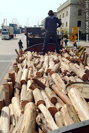 Leña - Departamento de Montevideo - URUGUAY. Foto No. 13805