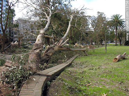 En el Parque Rodó - Departamento de Montevideo - URUGUAY. Foto No. 13758