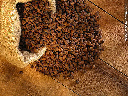  -  - IMÁGENES VARIAS. Foto No. 8913