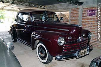  -  - IMÁGENES VARIAS. Foto No. 8959