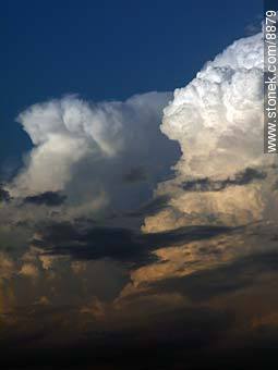  -  - IMÁGENES VARIAS. Foto No. 8879