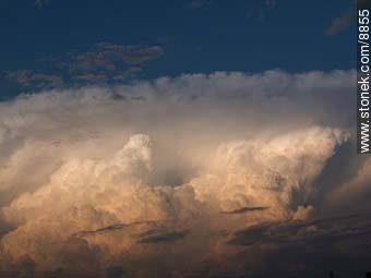  -  - IMÁGENES VARIAS. Foto No. 8855