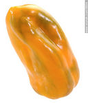 Morrón amarillo - Foto #8804