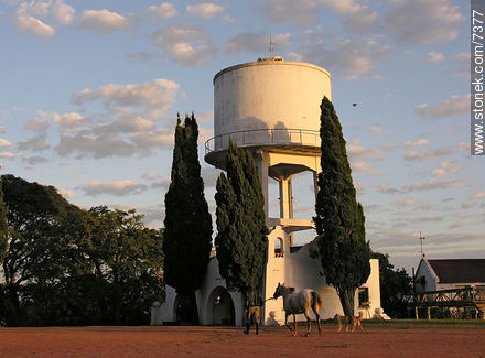  - Departamento de Florida - URUGUAY. Foto No. 7377