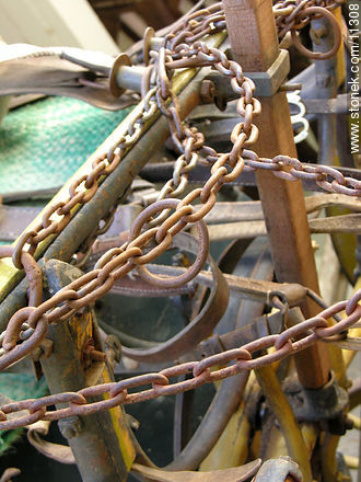  -  - IMÁGENES VARIAS. Foto No. 11308