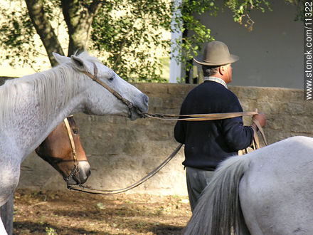  - Departamento de Florida - URUGUAY. Foto No. 11322