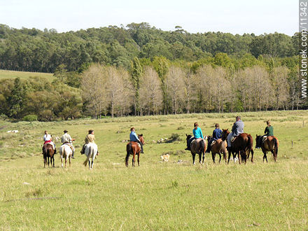 Horse ride activity in San Pedro de Timote - Department of Florida - URUGUAY. Photo #11342